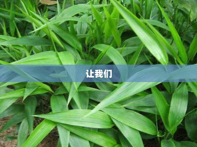 抖音珍惜时间测试，揭秘高效利用每一分钟的方法之道