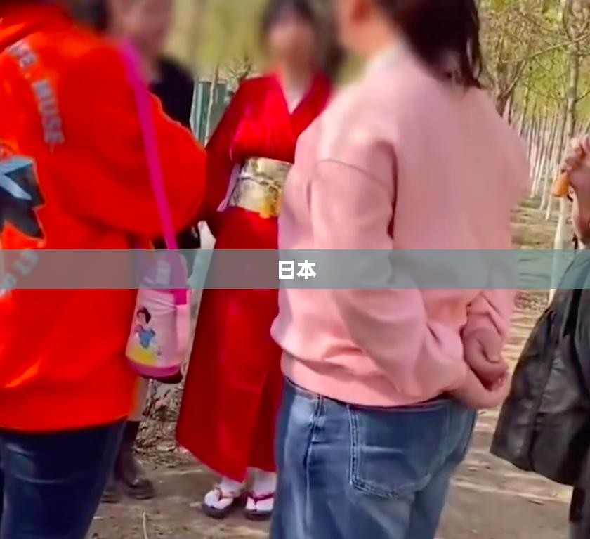 日本超小公园成网红打卡新宠，四张A4纸大小的世界最小公园亮相！