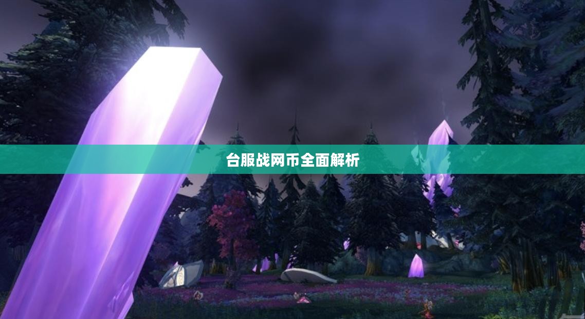 台服战网币全面解析
