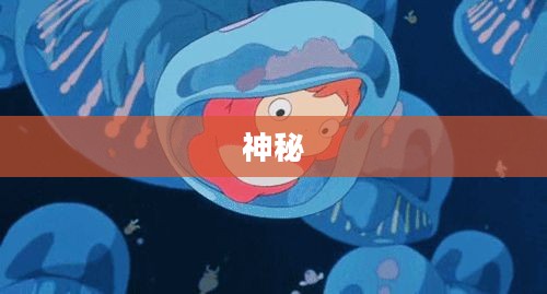 萨莉娜传说的神秘之旅探秘之旅