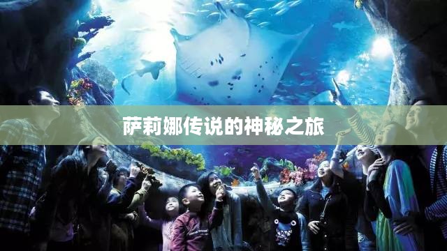萨莉娜传说的神秘之旅 萨莉娜传说的神秘之旅