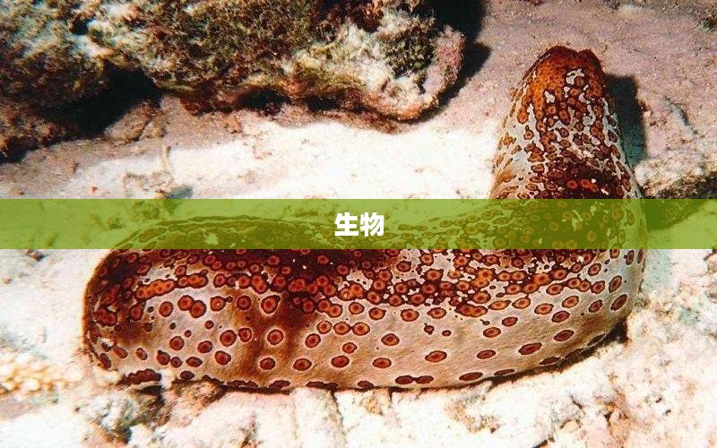 康方生物明星药物临床数据引发市场震荡，董事长回应及专家解读需谨慎
