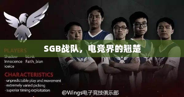 SGB战队,电竞界的翘楚 SGB战队,电竞界的翘楚
