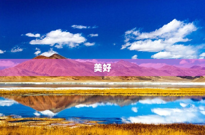 游咔,记录生活精彩瞬间 游咔,记录生活精彩瞬间