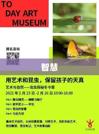 昆虫世界的多彩魅力，探索多样性的奇妙之旅