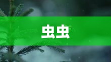 虫虫世界的多彩魅力，探索昆虫世界的多样性