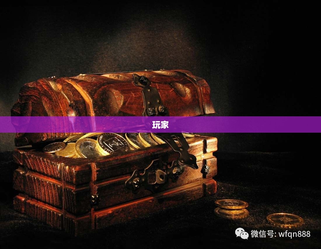 远征OL珍宝阁深度揭秘，宝藏探寻之旅启动