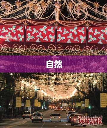 森林舞会，自然与娱乐的和谐交融之美