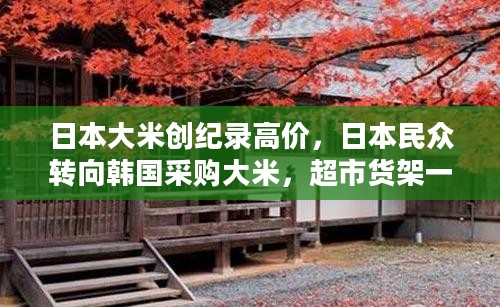 日本大米创纪录高价,日本民众转向韩国采购大米,超市货架一度告急 日本大米创纪录高价,日本民众转向韩国采购大米,超市货架一度告急