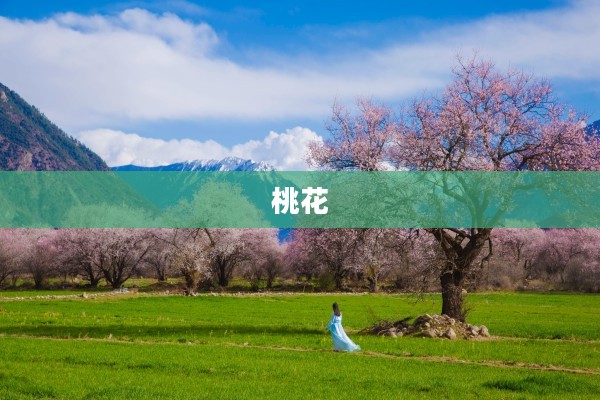探寻桃花妖的神秘栖息地，揭秘桃花妖最多的地方！