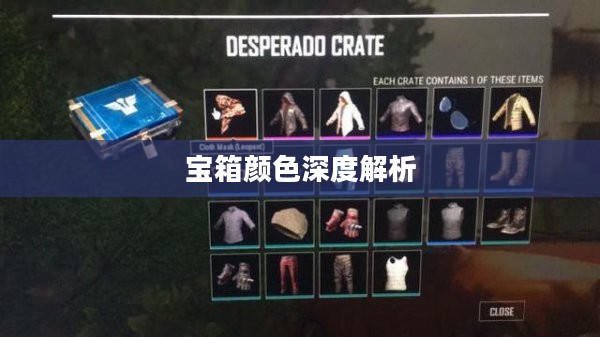 宝箱颜色深度解析，揭秘多彩宝箱背后的秘密