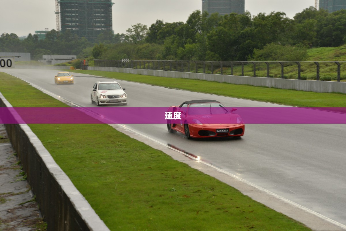 提莫快跑,极致速度体验 提莫快跑,极致速度体验