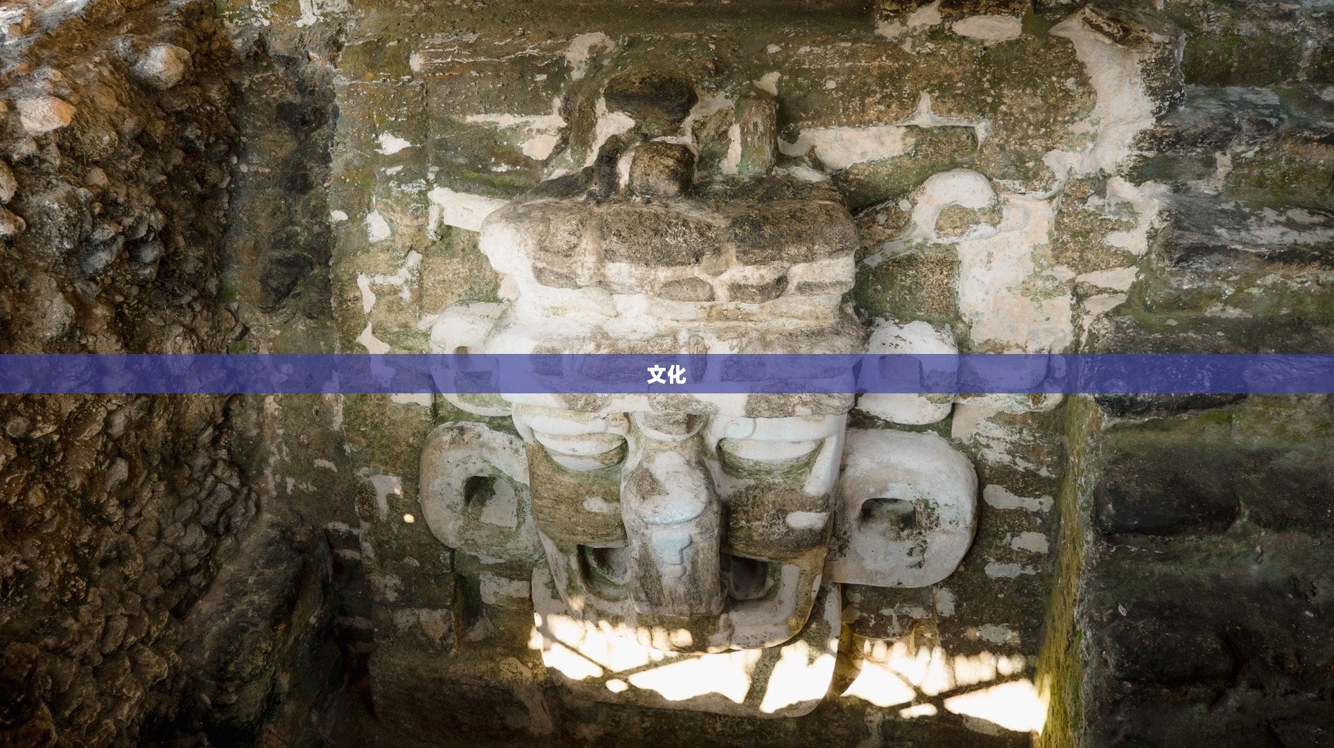 龙之骨的神秘传说与起源揭秘