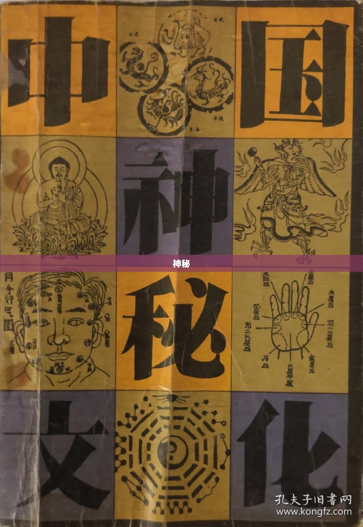 龙之骨的神秘传说与起源探索 龙之骨的神秘传说与起源探索