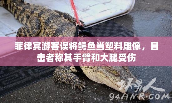 菲律宾游客误将鳄鱼当塑料雕像引发意外，手臂和大腿受伤
