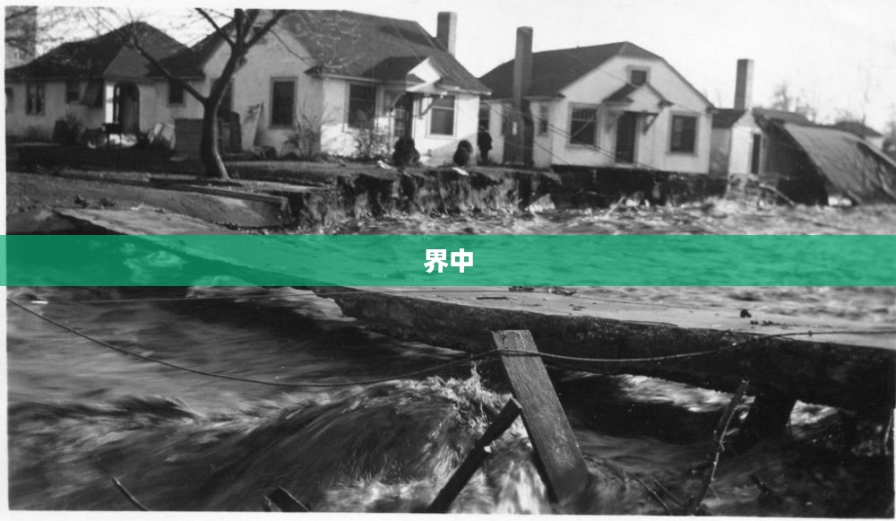 进化的奥秘,自然与人类文明的交织发展之路 进化的奥秘,自然与人类文明的交织发展之路