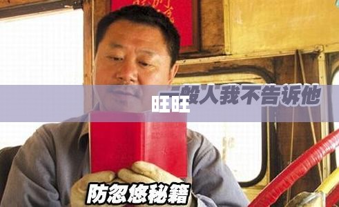 阿里旺旺下载与安装指南
