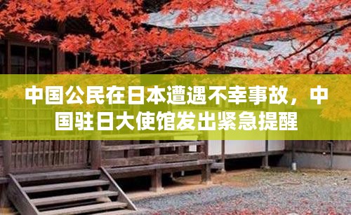 中国驻日大使馆紧急提醒，公民在日本遭遇不幸事故需警惕
