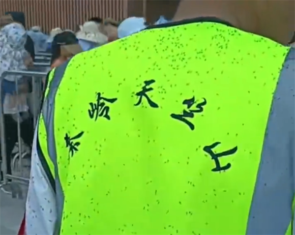 陕西一景区大量虫子往游客脖子里钻:天气原因 已处理