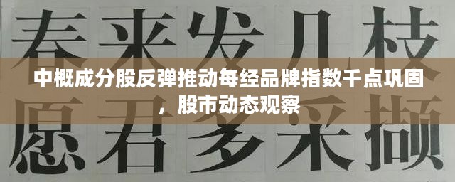 中概成分股反弹推动每经品牌指数千点巩固,股市动态观察 中概成分股反弹推动每经品牌指数千点巩固,股市动态观察