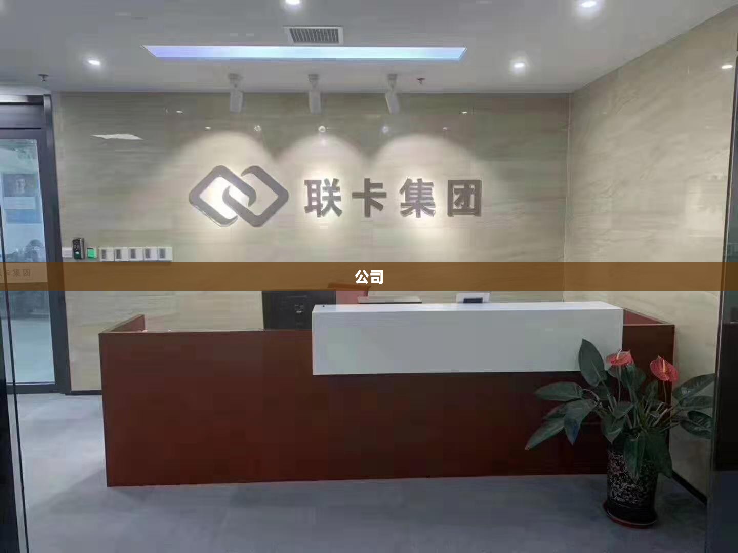 Neuralink脑机接口获FDA突破性认证与恒瑞医药港交所聆讯通过，医药行业最新进展