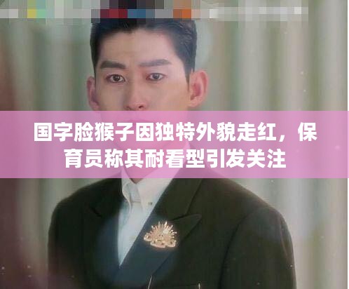 国字脸猴子独特外貌成焦点，保育员称其耐看引发关注