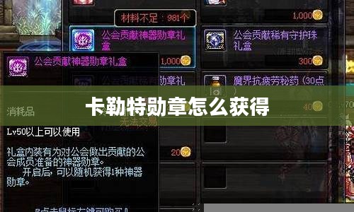 卡勒特勋章的含义与申请流程详析 卡勒特勋章的含义与申请流程详析