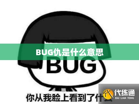 软件开发中的Bug仇：原因、解决策略与案例分析