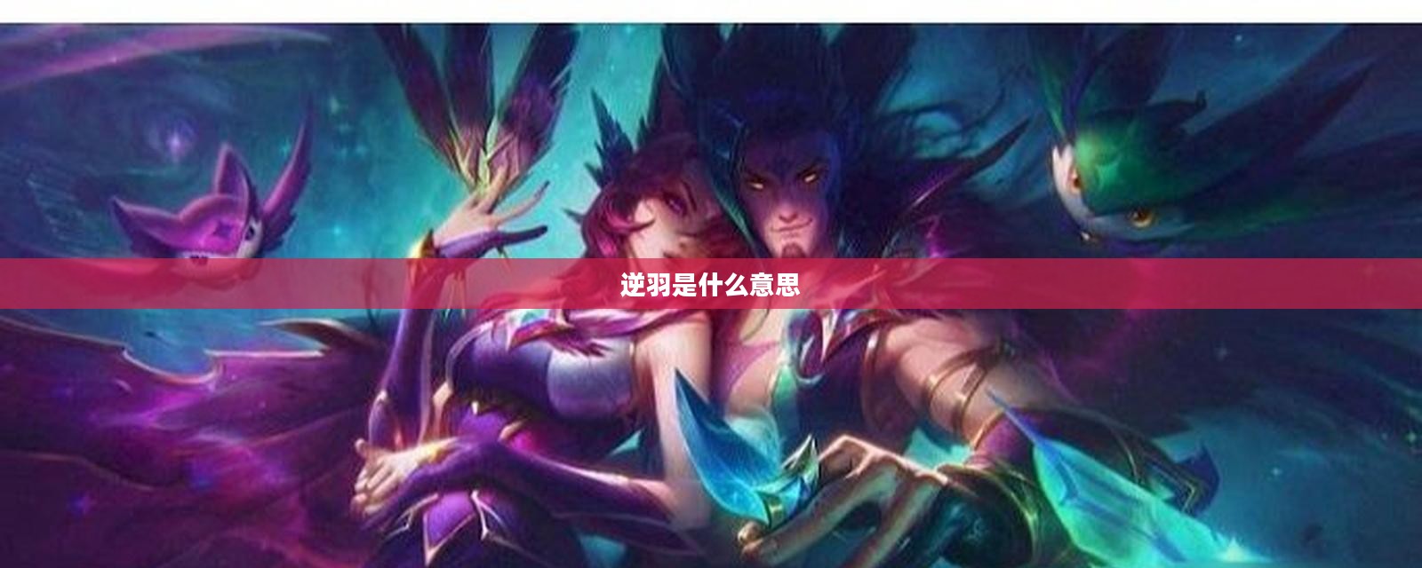 逆羽概念解析与应用领域探究