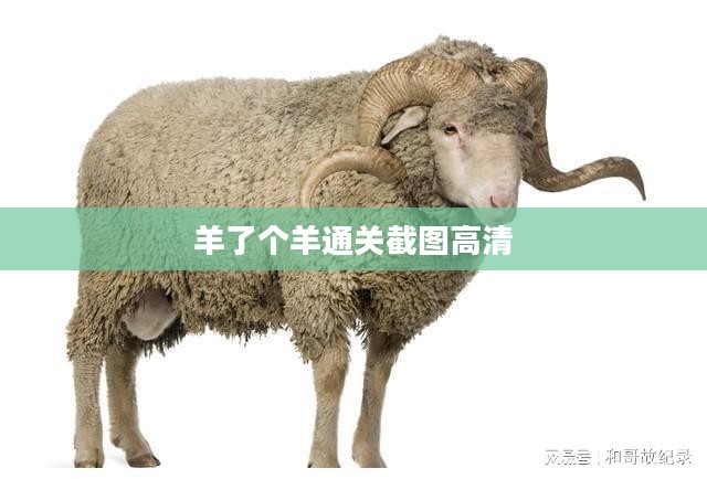羊了个羊通关截图获取与技巧提升攻略