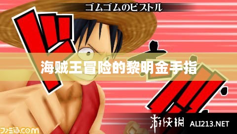 《海贼王：冒险的黎明》——冒险精神的传承与解读