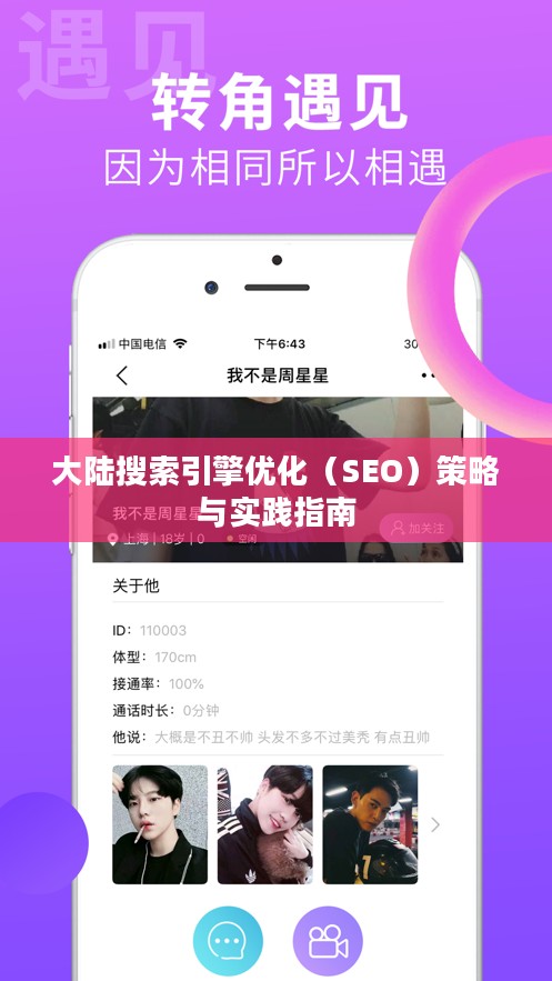 大陆搜索引擎优化（SEO）策略与实践指南