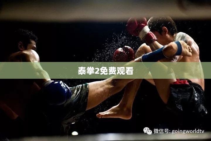 泰拳技巧与训练方法，提升身体素质的绝佳选择