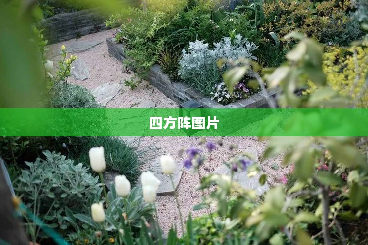 四方阵战术优势与应用策略解析