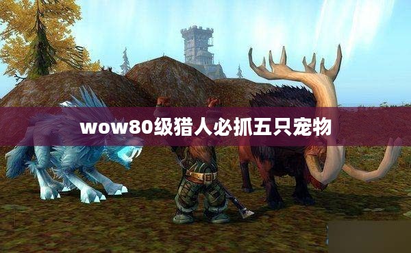 魔兽世界怀旧服（wow80）深度攻略与体验提升方法