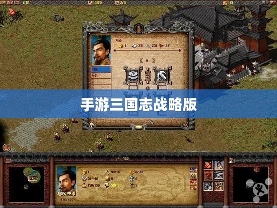 三国志手游攻略，深度解析策略与技巧