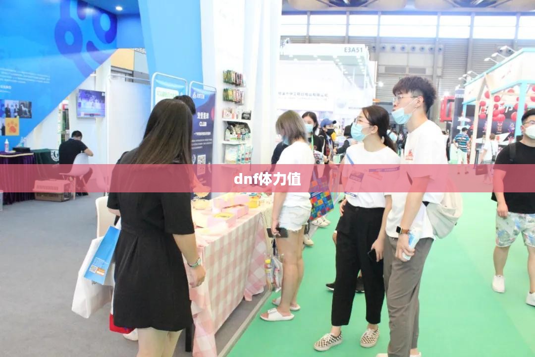 DNF体力属性解析与实战应用