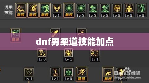 DNF男柔道刷图加点攻略，提升战斗力的技巧详解