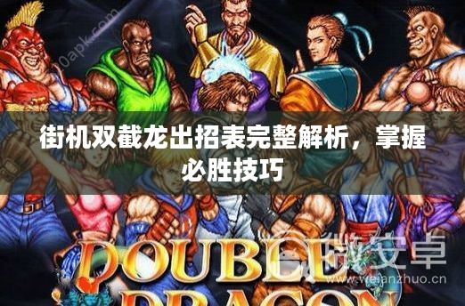 街机双截龙出招表完整解析，掌握必胜技巧