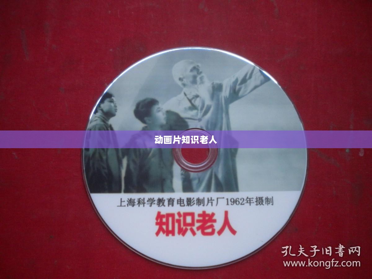 知识老人的智慧与应用深度解析