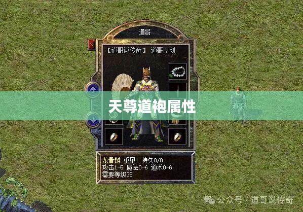 天尊道袍：道教文化中的传承与象征