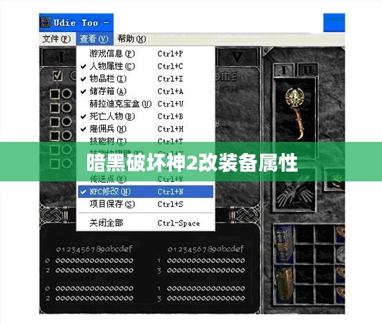 暗黑破坏神2改装备全解析：提升战斗力指南