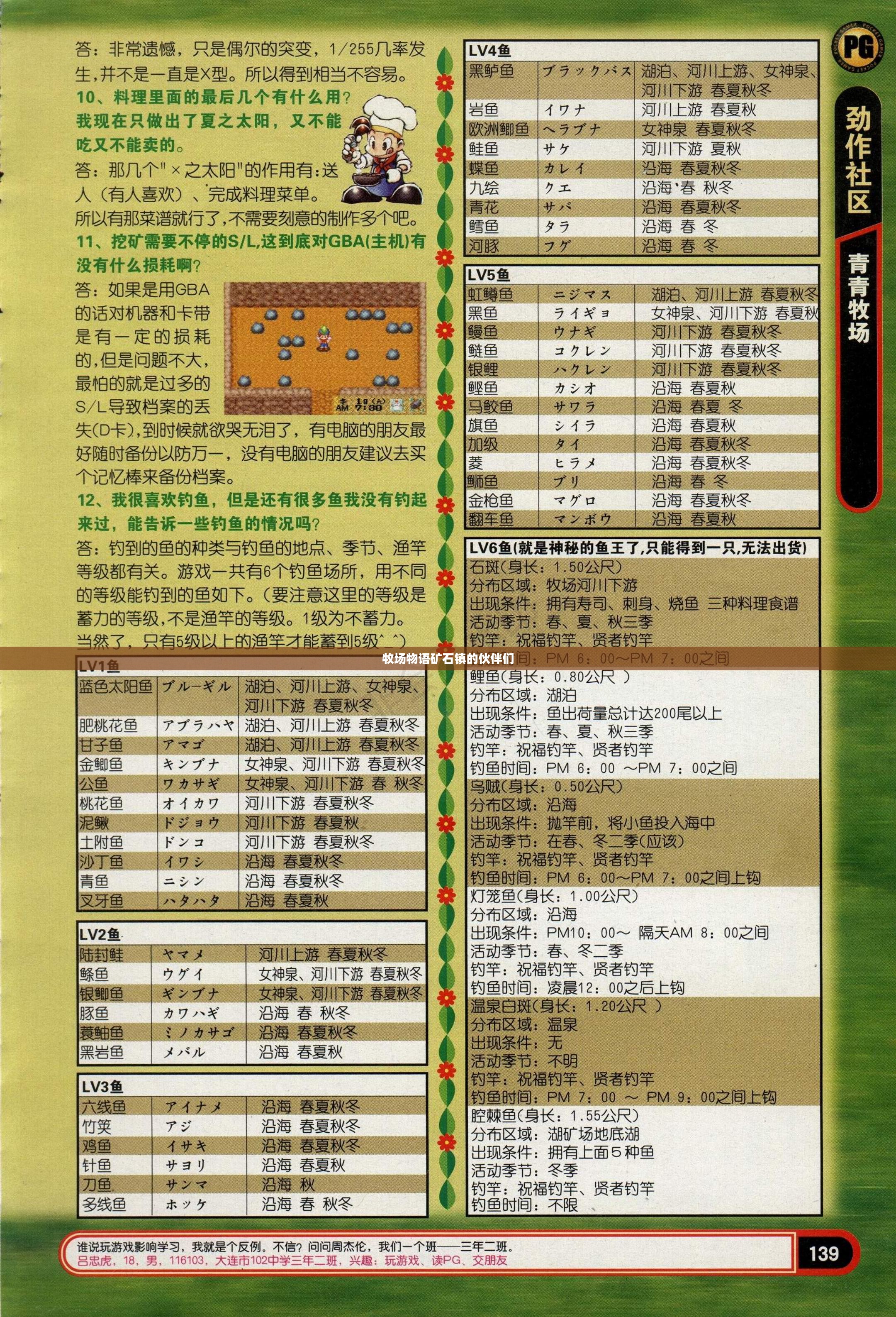 牧场物语矿石镇：特色玩法与高效经营策略解析