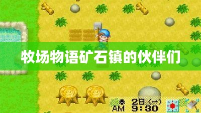 牧场物语矿石镇：特色玩法与高效经营策略解析