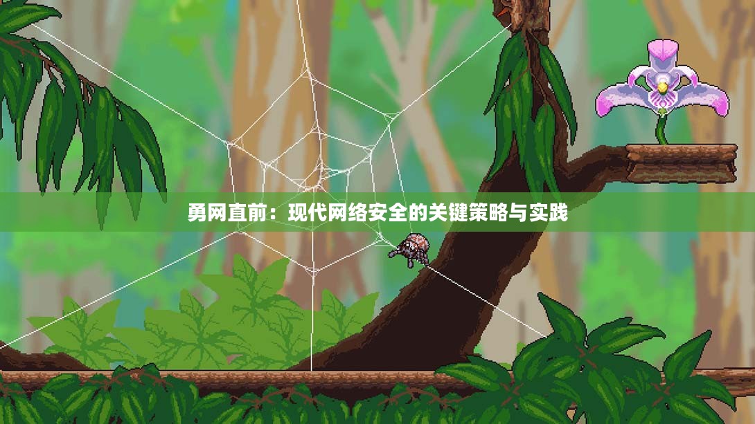 勇网直前：现代网络安全的关键策略与实践