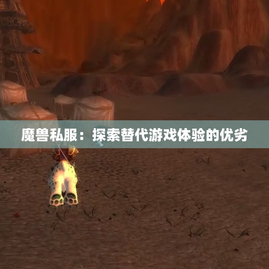 魔兽私服：探索替代游戏体验的优劣