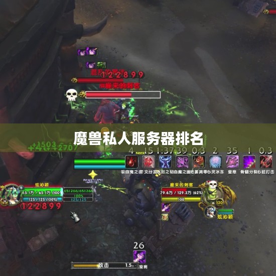 魔兽私服：探索替代游戏体验的优劣