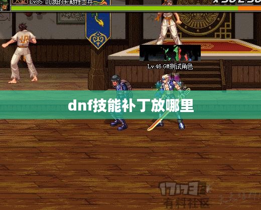DNF技能补丁安装位置详解