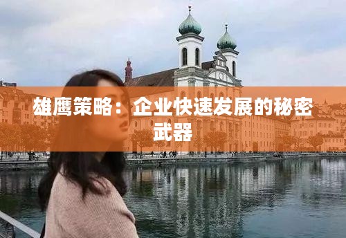 雄鹰策略：企业快速发展的秘密武器