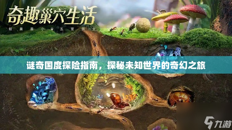 谜奇国度探险指南，探秘未知世界的奇幻之旅
